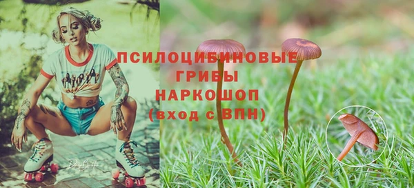таблы Алексеевка