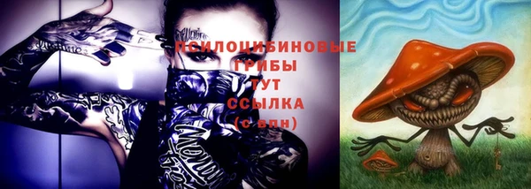 ешки Алексин